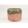 C-50 Cherry Blossom Celadon Amaco 473mL