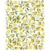 Sır Üstü Renkli Dekal Lemon (Limon) D-244 (23x28cm)