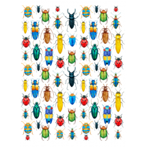 Sır Üstü Renkli Dekal Rainbow Bugs (Renkli Böcekler) D-245 (23x28cm)