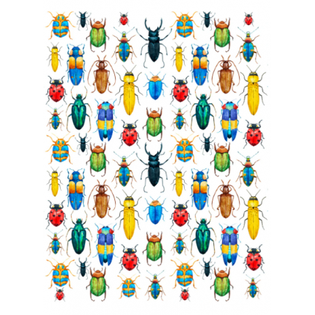 Sır Üstü Renkli Dekal Rainbow Bugs (Renkli Böcekler) D-245 (23x28cm)