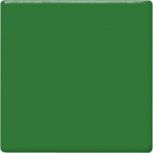 TP-41 Frog Green ( Kurbağa Yeşili ) 473mL 1040 °C