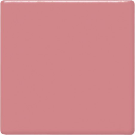 TP-53 Pink ( Pembe ) 473mL 1040 °C