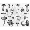 DSS-165 Mushrooms Mayco Designer Silk Screen - İpek Baskı (Serigrafi) 30x38 cm Mantarlar