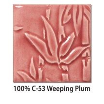 C-53 Weeping Plum Celadon Amaco 473mL