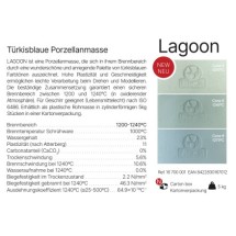 LAGOON Azul Turquesa Porcelain Sio-2 Turkuaz Porselen Vakum Çamuru - 5 Kg