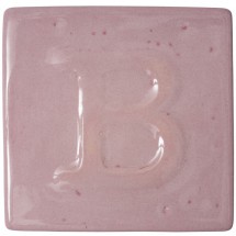 9561 Botz Pink (Pembe)