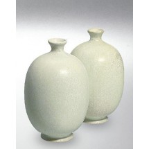 Terra Color (Toz) Porselen Sırları 1200-1260°C Weißer Krokus 8267 / 667