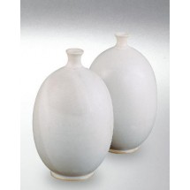 Terra Color (Toz)  Porselen Sırları 1200-1260°C Weiss matt 9609 / 6609 (Efektli Mat Beyaz)