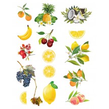 Sır Üstü Renkli Dekal Fruits (Meyveler) D-202 (23x28cm)