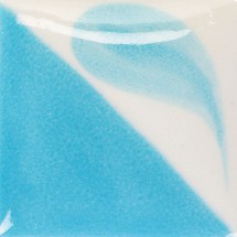 CN-142 Bright Aqua Duncan 8oz - 236mL