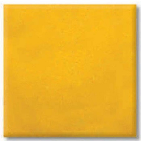 7906 / 206 Cadmium Yellow (Kadmiyum Sarısı) Terra Color Toz Sır