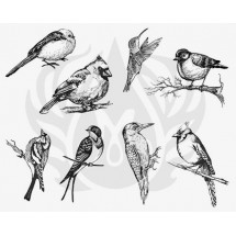 DSS-108 Aviary - Small Birds Mayco Designer Silk Screen - İpek Baskı (Serigrafi) 30x38 cm Kuşlar