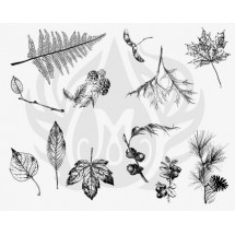DSS-111 Botanical - Leaves Mayco Designer Silk Screen - İpek Baskı (Serigrafi) 30x38 cm Yapraklar