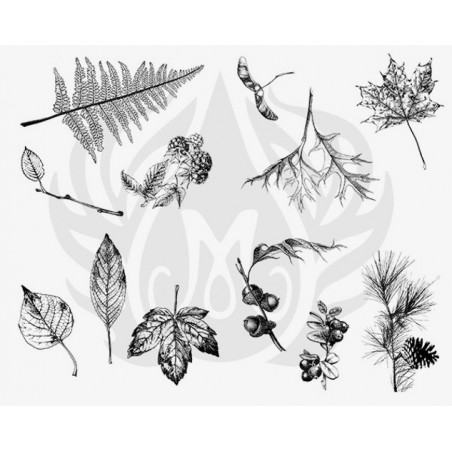 DSS-111 Botanical - Leaves Mayco Designer Silk Screen - İpek Baskı (Serigrafi) 30x38 cm Yapraklar