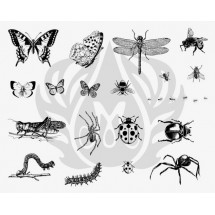 DSS-113 Bugs Mayco Designer Silk Screen - İpek Baskı (Serigrafi) 30x38 cm Böcekler